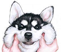 简约个性卡通手机壁纸