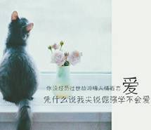 简短文艺唯美语录手机壁纸