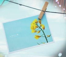 相似的人适合一起欢闹  \唯美明信片意境小清新