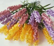 花卉类diy手工制作 花卉类diy手工制作