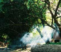 唯美土地风景摄影图片