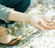 高清唯美意境小清新图片精选