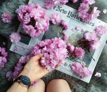 花团锦簇 高清意境鲜花唯美图片