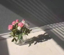 我的美好一天从鲜花开始 唯美鲜花图片