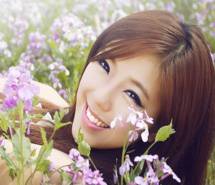 清纯明星赵奕欢电脑壁纸