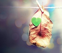 简约小清新电脑桌面壁纸