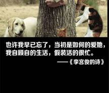 个性创意文字壁纸大全
