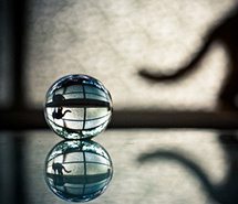 萌宠图片动物图片可爱图片个性美图