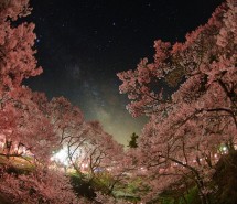 宮坂雅博的璀璨星空