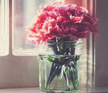 淡淡花香简约图片 微信背景图片