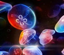 科幻唯美插画图片