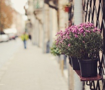 也许今生我们将无法相依相伴 唯森系美意境空间