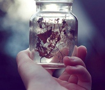 尘缘未了却已逝笑颜 小清新图片