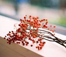 　离别，就是一个走，一个留 小清新图片