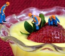 有趣的小人族个性图片