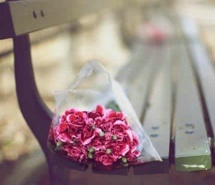 你是我沿途盛放的风景_小清新摄影图片