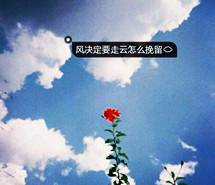 风决定要走，云怎么挽留