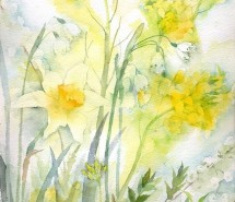 几张可爱的小插画