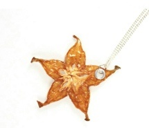 脱水水果树脂首饰