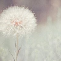 《是！尚先生》高清桌面壁纸