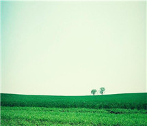 落花无语，一地哀伤