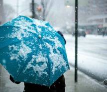 冬天来啦  唯美清新雪景图片