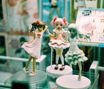 一直以来 唯美清新图片