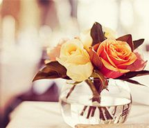 小清新意境伤感唯美鲜花清新素材 小清新意境伤感唯美鲜花清新素材