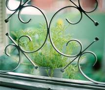 摇摇晃晃的心 唯美清新秘密花园图片