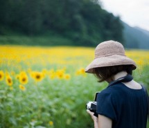 一个人吃饭旅行  唯美小清新图片