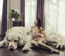 欧美美女桌面壁纸