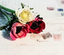 还记得吗  唯美花与信封图片