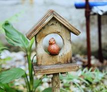 背对阳光 清新唯美图片