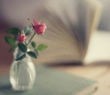 风中凌乱素雅春日唯美花卉清新图片