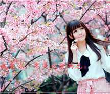 唯美带字图片：徜徉在花海的女生