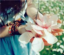 花开半夏，不复离殇