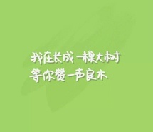 极简文字手机壁纸