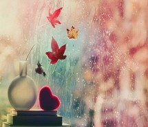 美丽的瓶子   唯美小清新美图