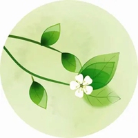 栀子花开高清壁纸