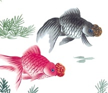 金鱼中国风水墨画图片电脑壁纸