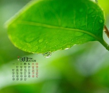 清新绿色护眼2017年3月日历电脑桌面壁纸
