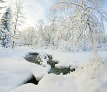 唯美雪景自然景色壁纸