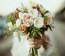 清新花卉与帅气动漫手机壁纸