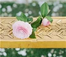 唯美手机壁纸：花开花谢亦美亦幻