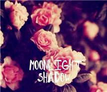 清风入弦，静守花开