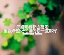 小清新壁纸唯美带字治愈系锁屏iphone壁纸