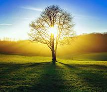 壁纸唯美风景高清意境lomo电脑壁纸唯美图片