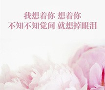 壁纸唯美lomo复古碎花文艺带字简约手机壁纸唯美