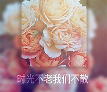 时光不老，我们不散