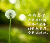 电脑壁纸清新绿色养眼风景高清电脑桌面壁纸